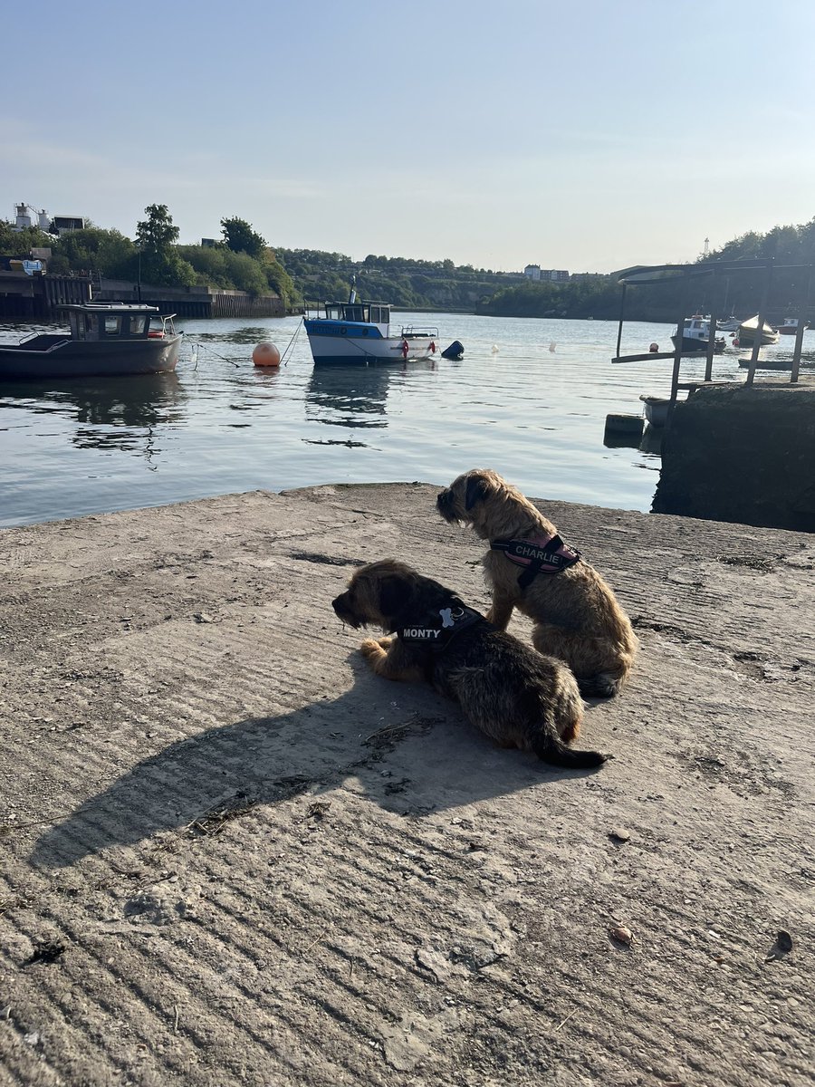 Sitting on the dock of the bay 🎶