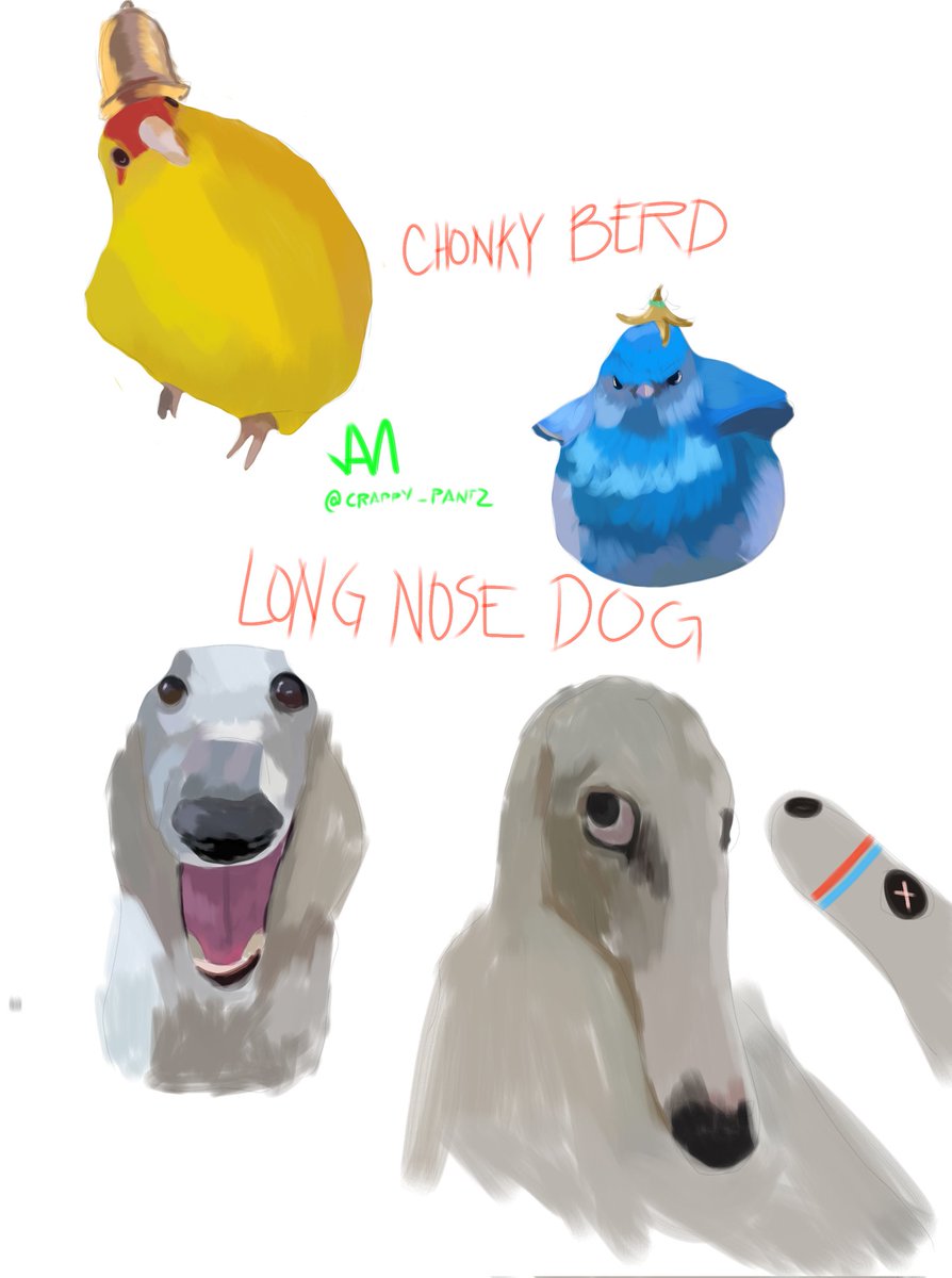 Crappy_Pantz's tweet photo. chonky berb and long faced doggos by @maykel_arts @Auuto_Phobia 😍😍💞
#ART #artmoots #artshare #digitalart #ArtistOnTwitter #artph #artworkเจโร่จึ #artworkอซทซ #artist #artistsontwitter #moots #birb #birdwatching #fatbird #doggo #longfacedog #meme #letmedoitforyou #Memes https://t.co/KNuTID36UA