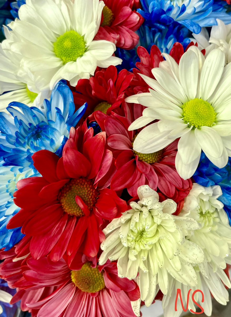 nsaidian's tweet photo. #HappyMemorialDayWeekend 

#NeverForget 🇺🇸❤️🤍💙🇺🇸
#PeaceAndLove 🕊️ https://t.co/nrCUuYMLkB
