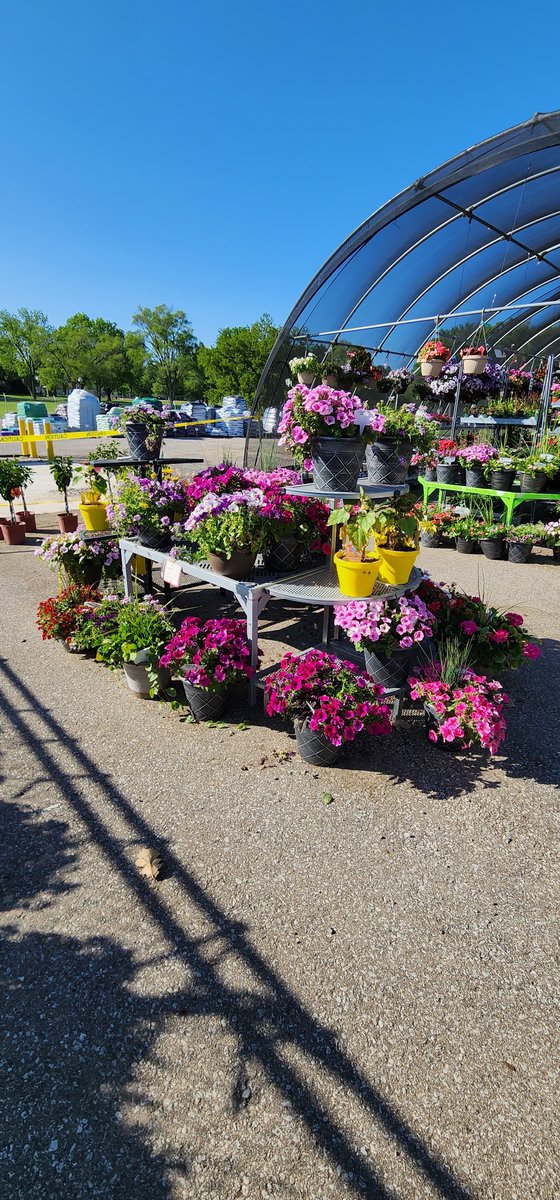 Hurry in before they're all gone! You can even save on all hanging baskets and large potted plants!