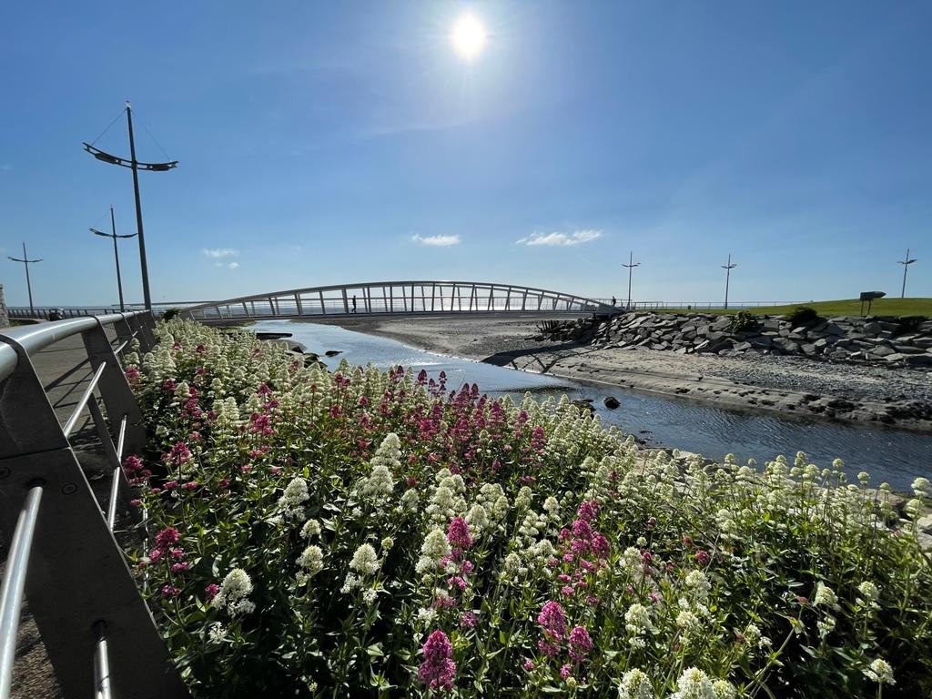 Last of the May bank holidays 🙌