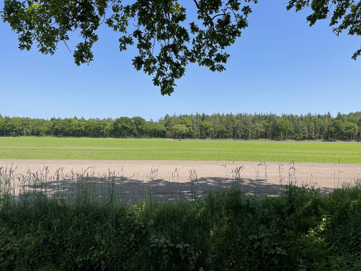 Bilthoven, De Bilt… tweet media