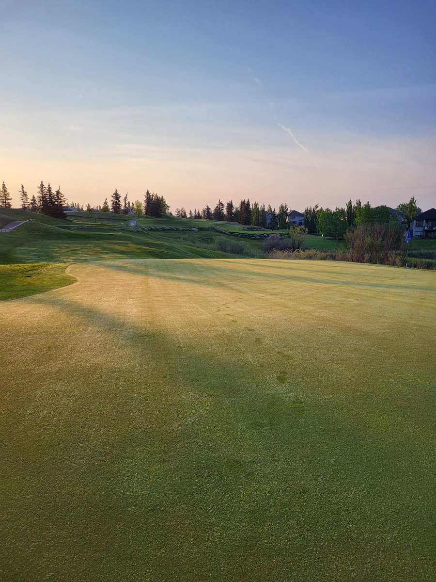 Dale Ekman tweet media