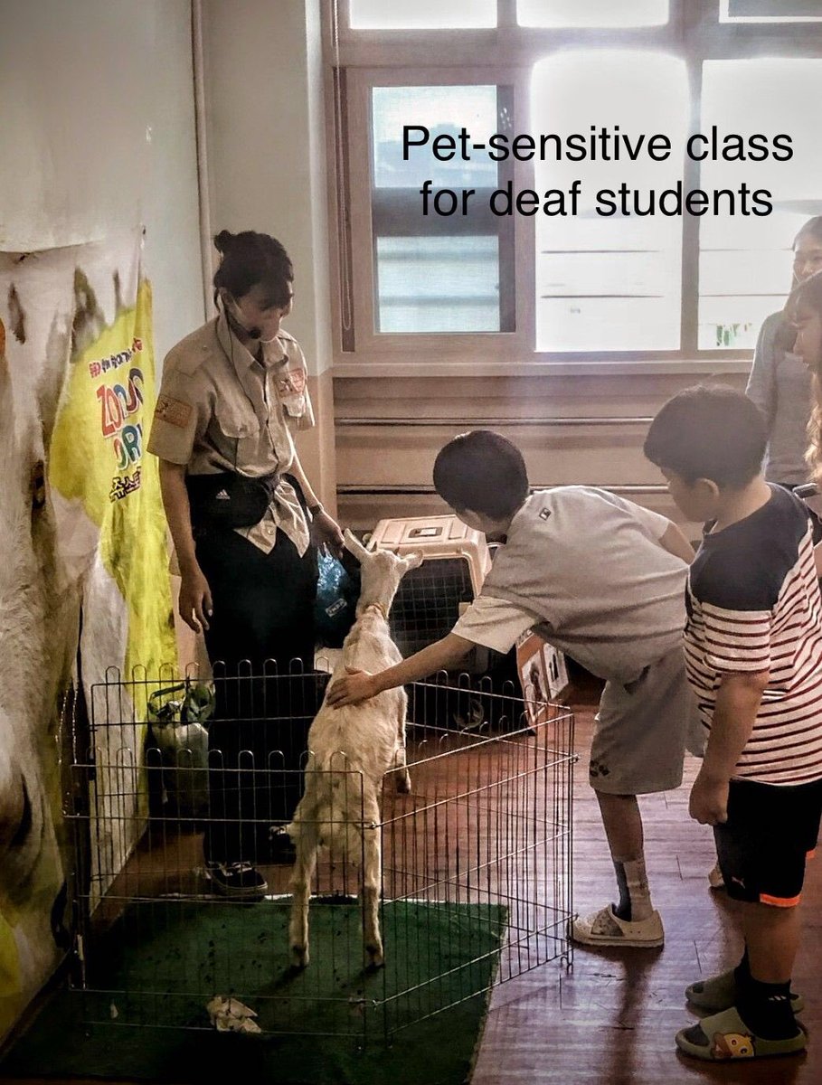 msucoehsabroad's tweet photo. Discover Korea students sought a comprehensive understanding of “wellness” by exploring populations outside higher ed. Had an opportunity to explore a lifelong learning institute (e.g. senior adults), hagwon, schools for deaf-blind, and middle-high schools. https://t.co/EdVbLzanJ2