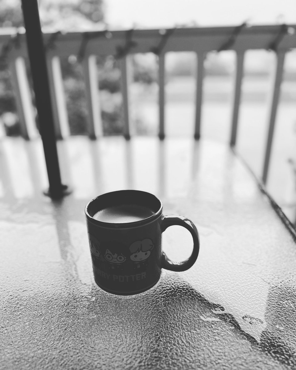 sarahlzzy418's tweet photo. Coffee on my porch during a storm is so peaceful. #coffee #porchview https://t.co/RHmrcFtacS