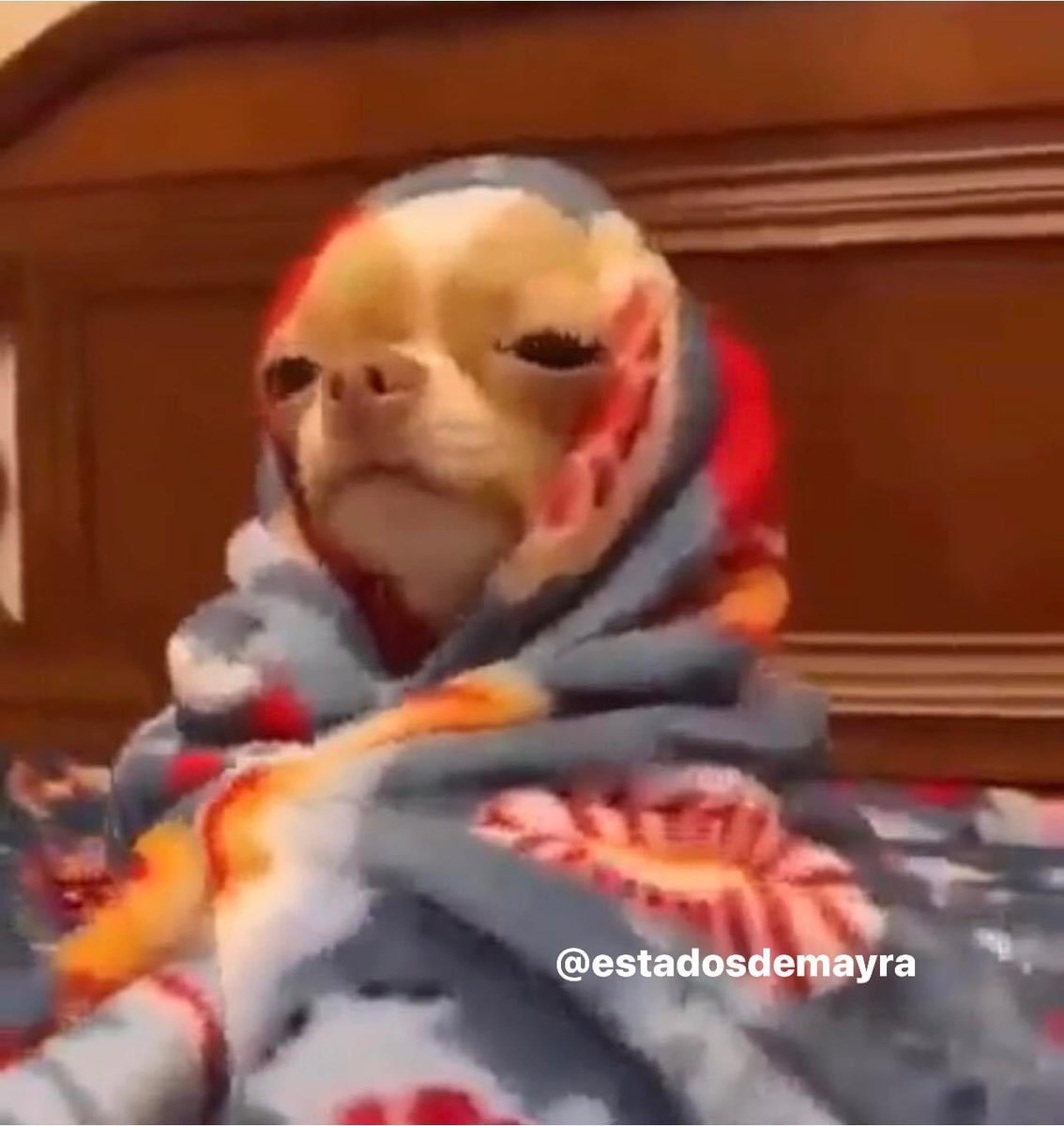 “Arriba esos ánimos que hoy es sábado” 

Yo: