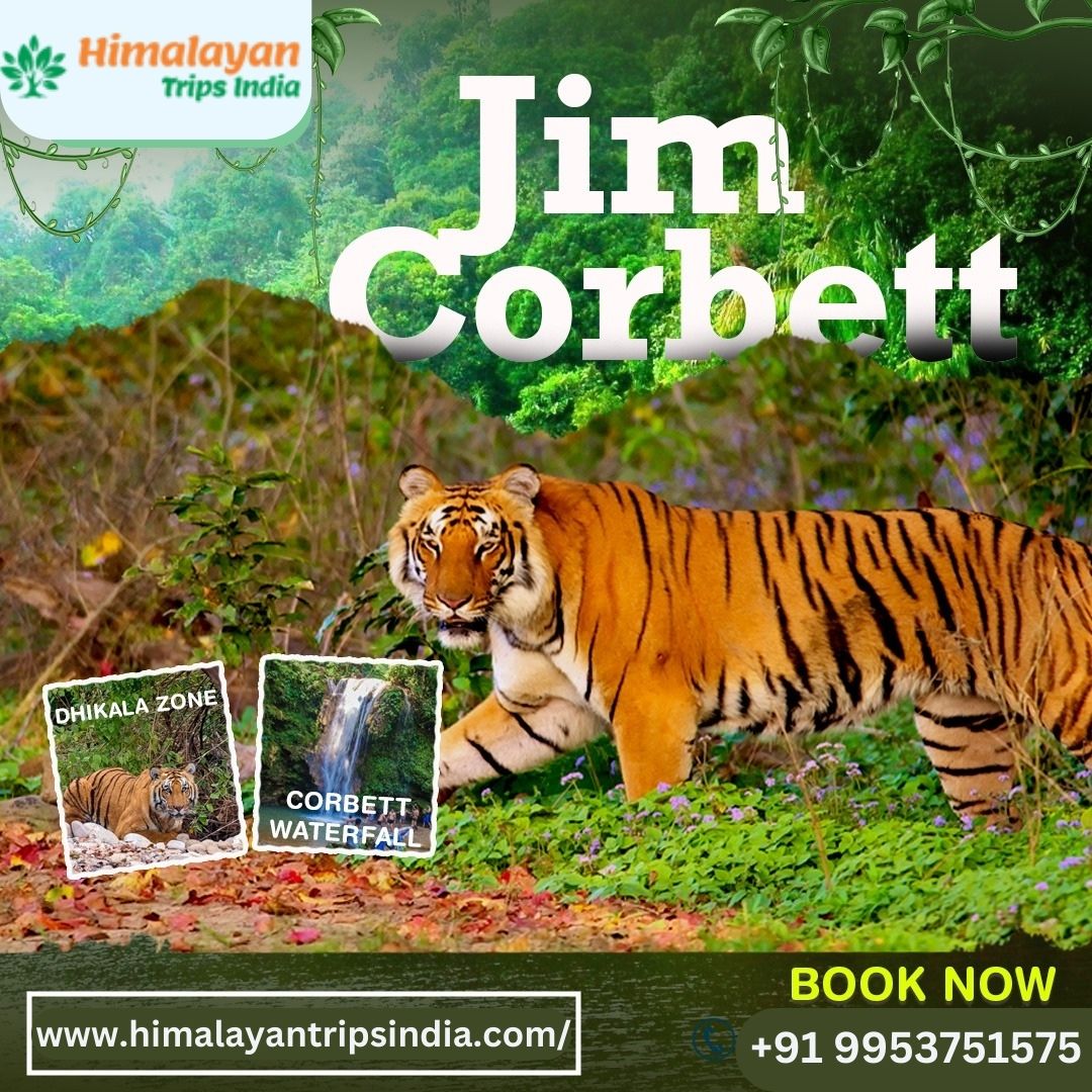 offbeathimalaya's tweet photo. A beautiful land of nature!

Travel to Jim Corbett,
And live a tremendous holiday.

Main Attractions:
👉🏻 Dhikala Zone
👉🏻 Corbett Waterfall

Himalayan Trips India &amp; Travels is offering super fun travel packages to Jim Corbett!

Contact us for more info on the travel packages. https://t.co/twTrGFSoaH