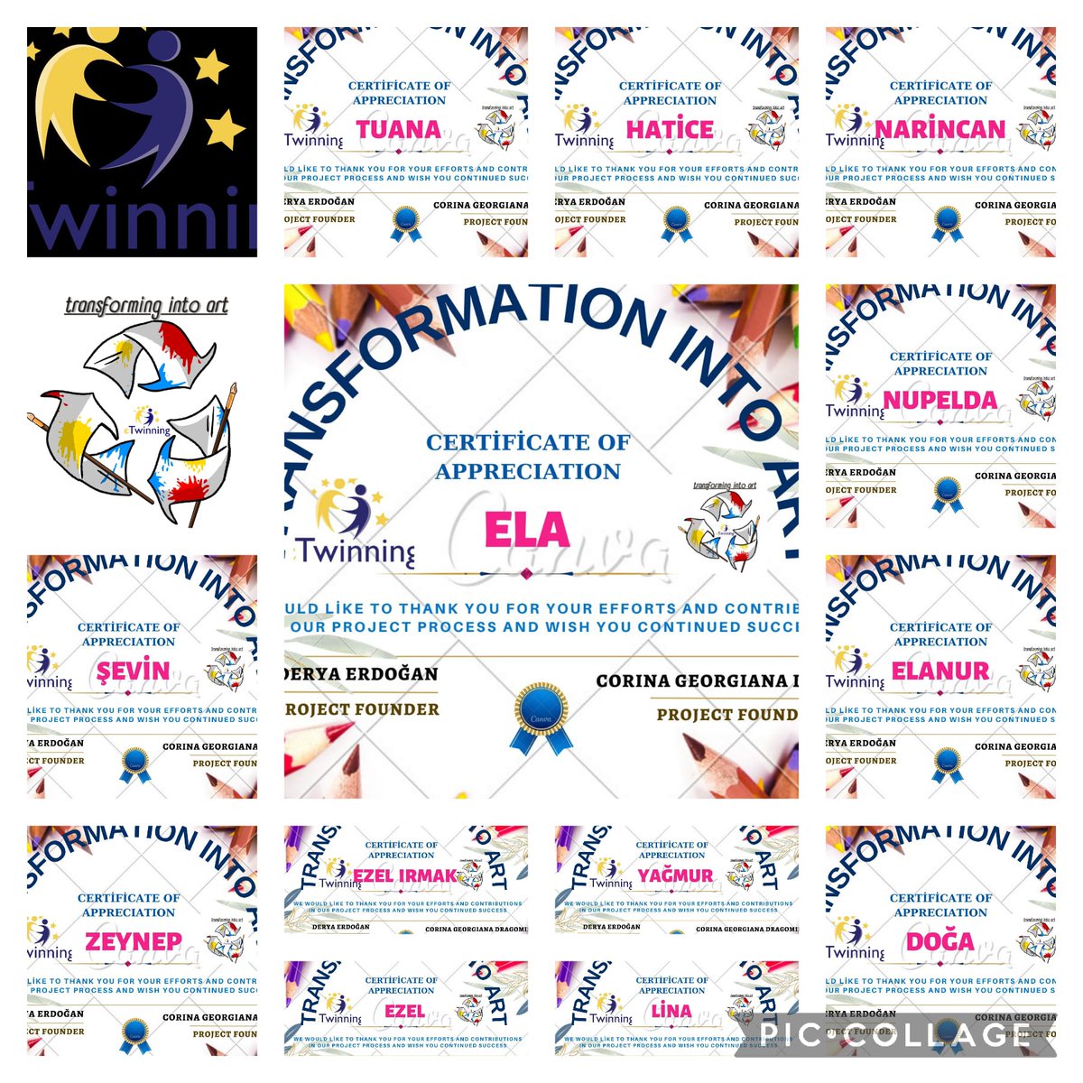 Özgür DENİZ -Ahmedi Hani Anadolu Lisesi-Öğrenci sertifikaları