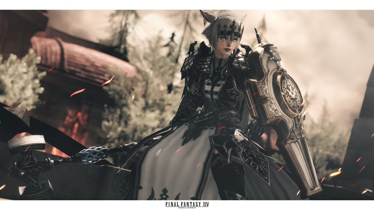 boorliy's tweet photo. #GPOSERS #XIV_PICTCPLIP 
PALADIN https://t.co/ubw7yqGnmL