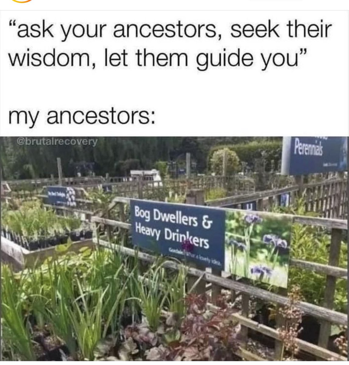 AmberTheLibrarian (@amberlibrary23) on Twitter photo 