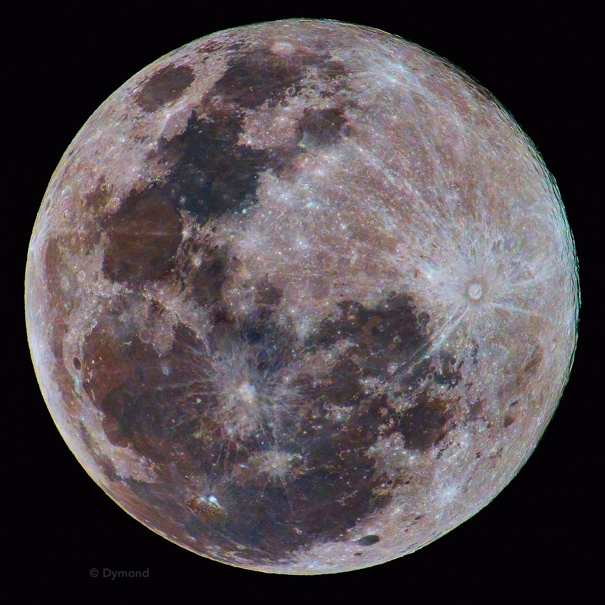 Tom Dymond tweet media