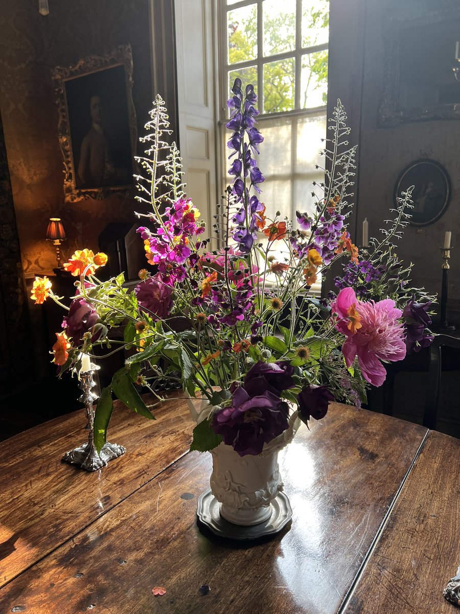 Philippa Burrough 🌱🇺🇦 tweet media