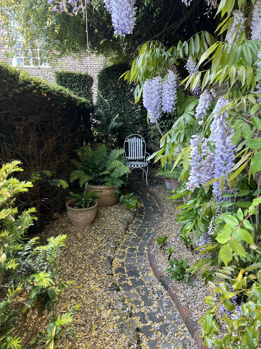 Yesterday I have a very long day driving around Kent with <a href="/gardenbarbara/">Barbara Segall</a> . Visited the simply gorgeous <a href="/dodplacegdns/">Doddington Place</a> - one of my all time favourite gardens (no pics as too busy chatting) and then to Restoration house Rochester which was an eye opener!