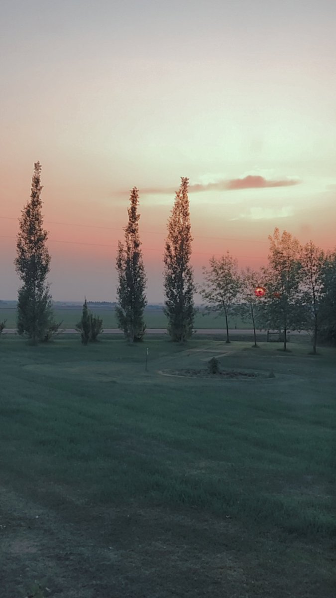 SchutSelena's tweet photo. Hazy prairie sunsets 🌾 https://t.co/GQgvlfOlAA