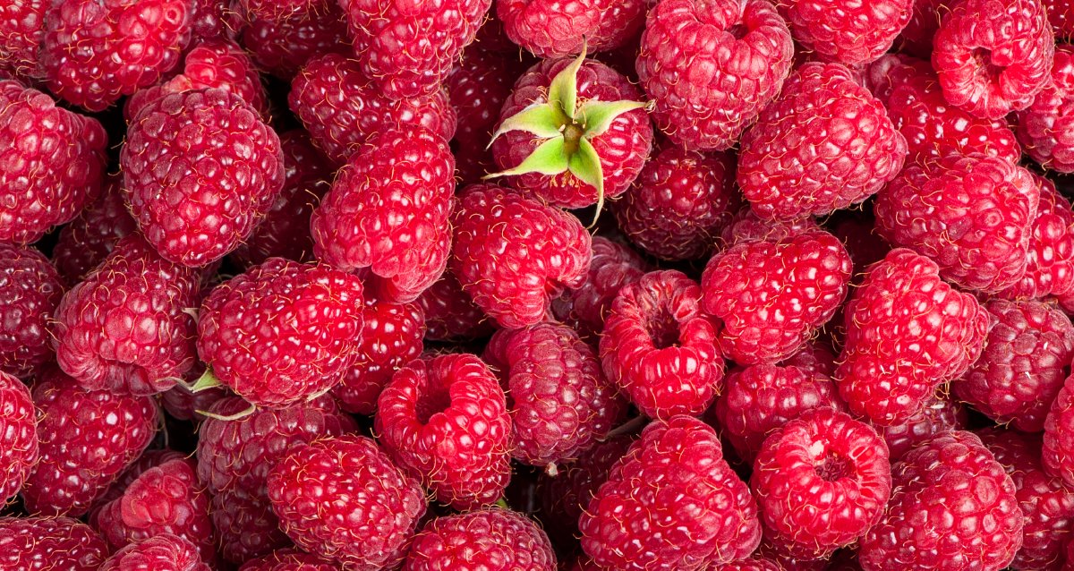 Raspberries are loaded with nutrients that may help fight different types of cancer and others that may protect your brain. More benefits of different berries: wb.md/41NS0Fh