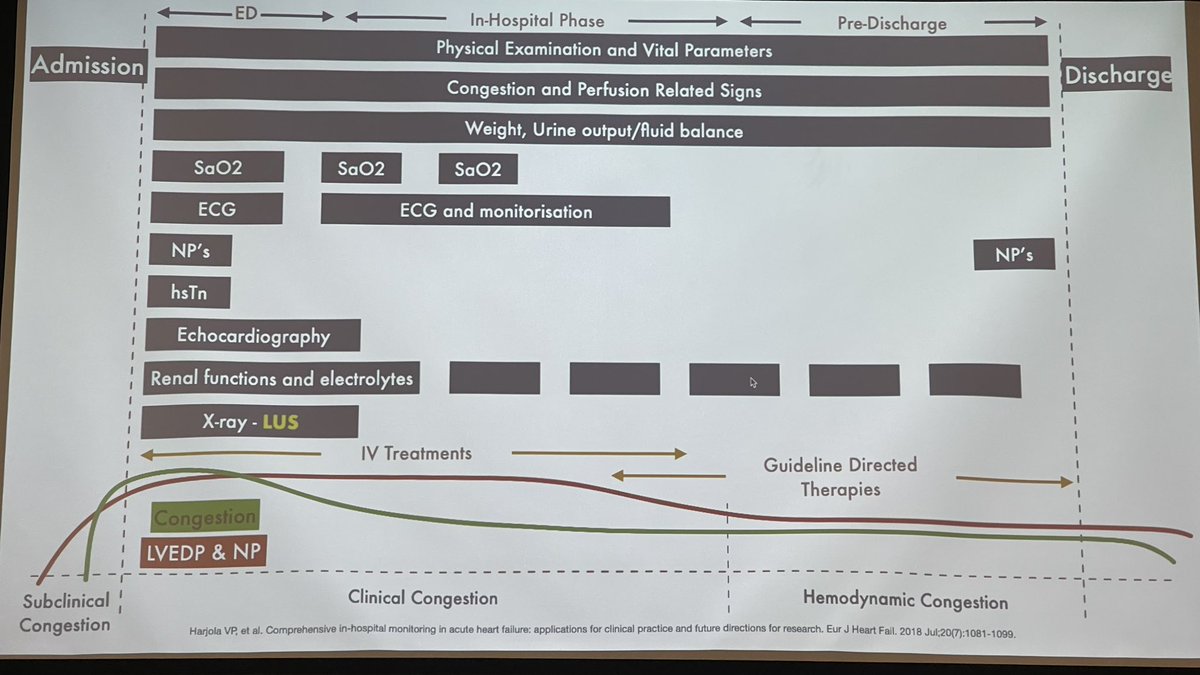 Great presentation on acute heart failure monitoring by @Canakcimustafa #SEEEDMC23 #Tirana