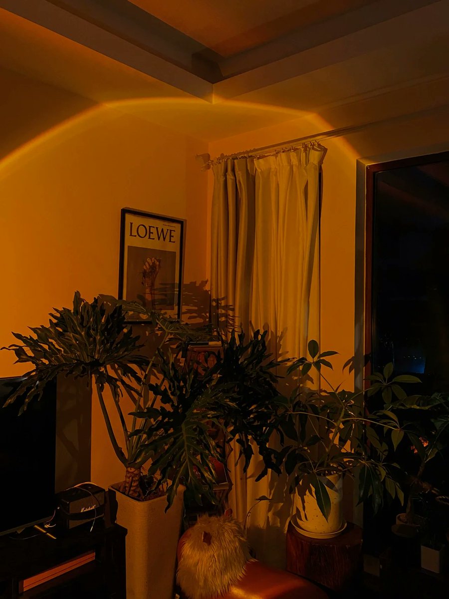 Enjoy the slow and long days at home at night