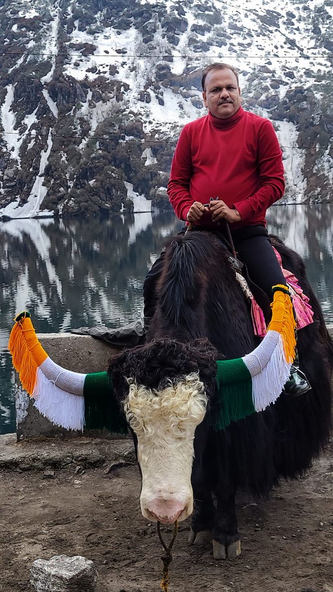 A Perennial Bull riding a Bull (Yak)

#travel #travelling #traveldiaries #journey #sikkimtourism #sikkimtrip #sikkimdiaries #sikkimtour #gangtok #gangtoksikkim #gangtokdiaries #gangtoktrip #gangtokmemories #tsomgolake #changulake #chnaggu