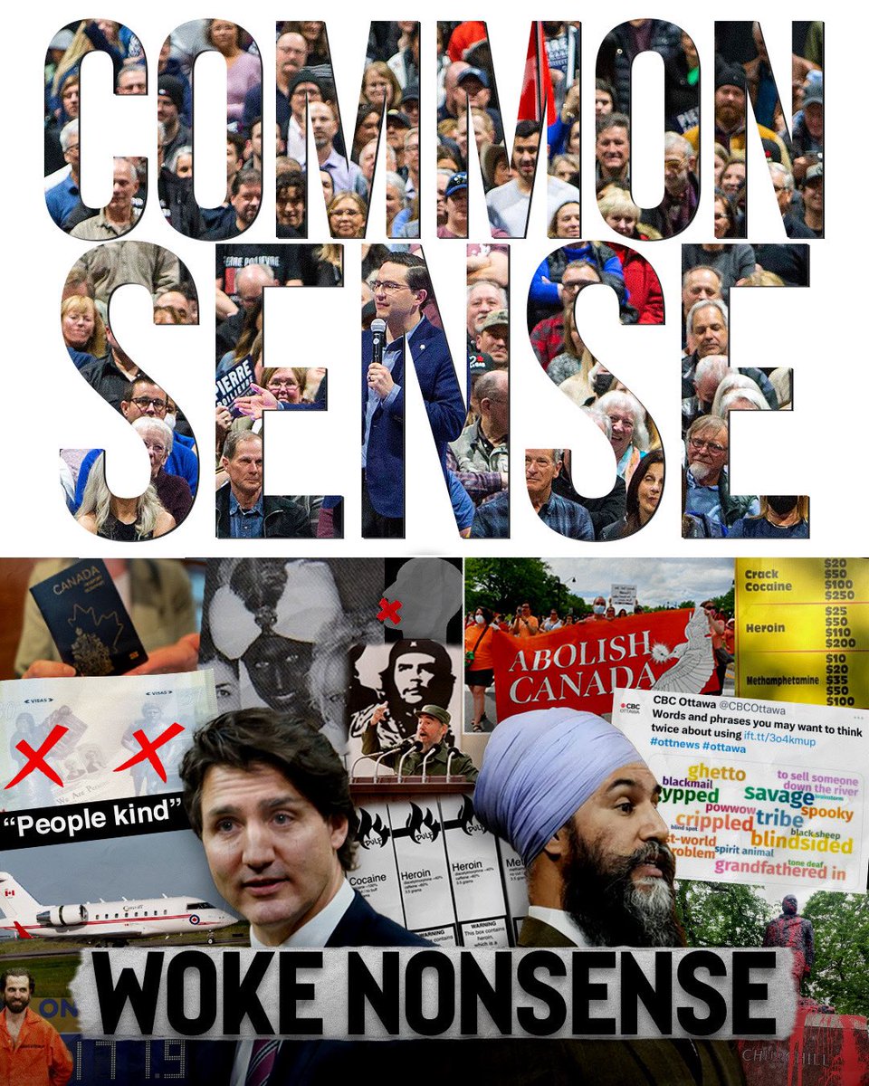 Enough with the Trudeau-NDP coalition of woke nonsense.

Let's Bring Home Common Sense: conservative.ca/bring-it-home