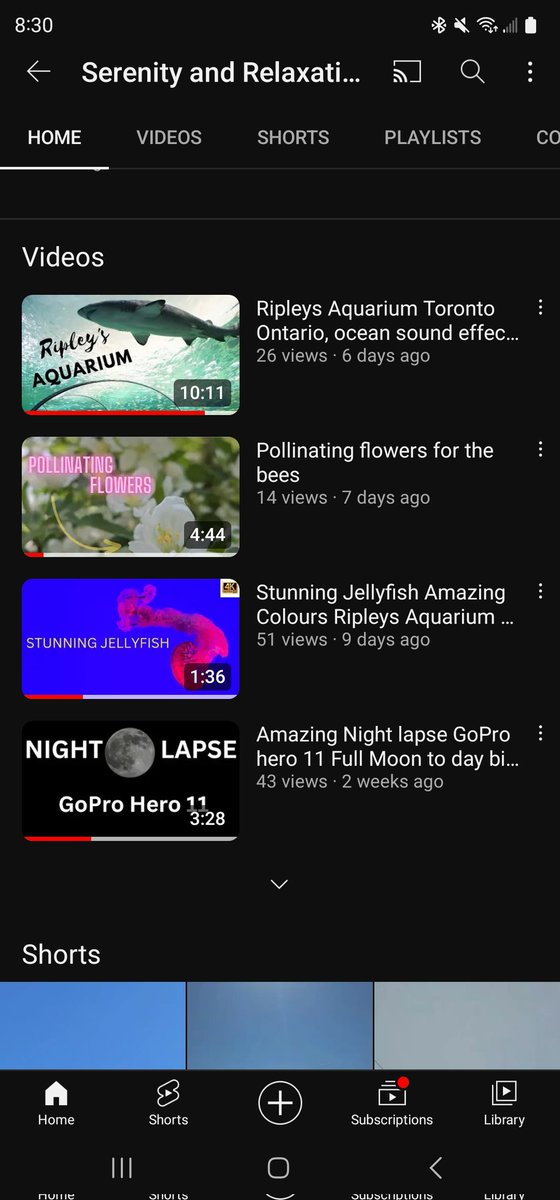 I've had some decent views over the last two weeks.  I'd love for some more subscribers and views.  Click my #YouTube link below. youtube.com/@mcmicmike #Ripleysaquarium #Flowers #Jellyfish #Goprohero11  have a wonderful Saturday everyone.