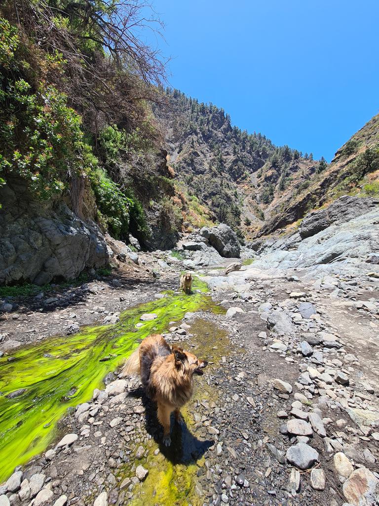 #CalderadeTaburiente #LaPalma