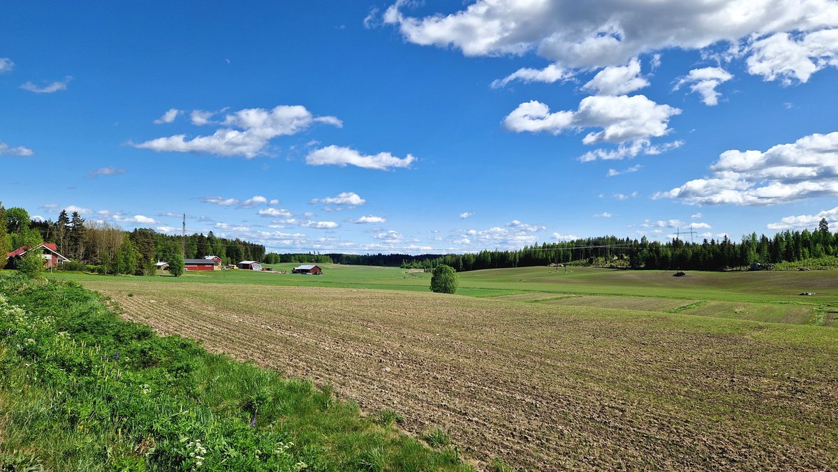 FraGallazzi's tweet photo. Despite the 13° C, #summer is arriving also to the #Finnish countryside. #Tampere https://t.co/PZy0IFVl12