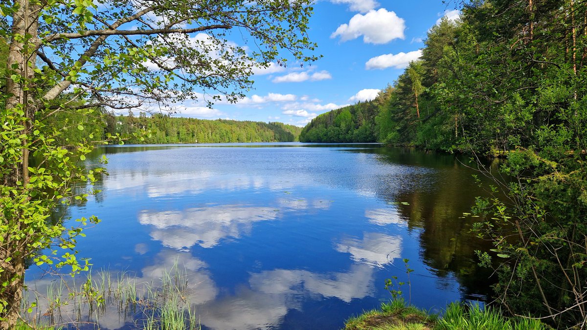 Despite the 13° C, #summer is arriving also to the #Finnish countryside. #Tampere