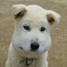 0215jaeyun's tweet image. 