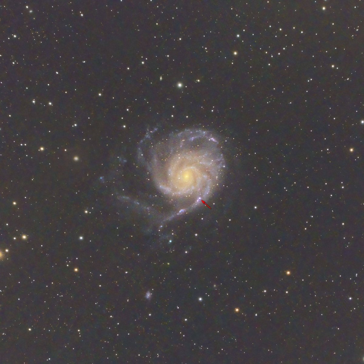 gduffett's tweet photo. #nlastro
Here is my contribution to the supernova in m101 the pinwheel Galaxy. About 4 and 1/2 hours on the 25th of May. https://t.co/Tld8Y5HWHG