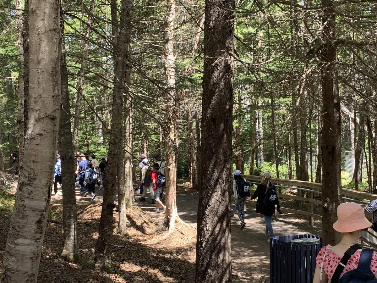 smswpgofficial's tweet photo. Touring Hopewell Rocks, New Brunswick ! SMS students learning about natural phenomena/ tides ! 
#traveling #learning #stmauriceschool https://t.co/xJs14hheIG