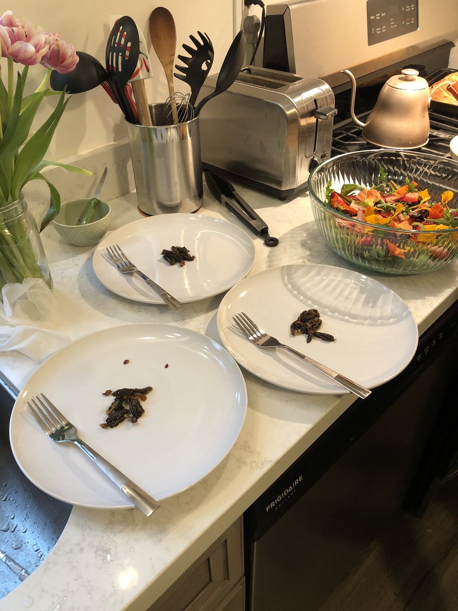 When life gives you mushrooms…make a tiny foraged feast with your friends! Morels found growing in my yard (!) and edible nasturtium flowers picked on a walk through my neighborhood 🍄😌🌸