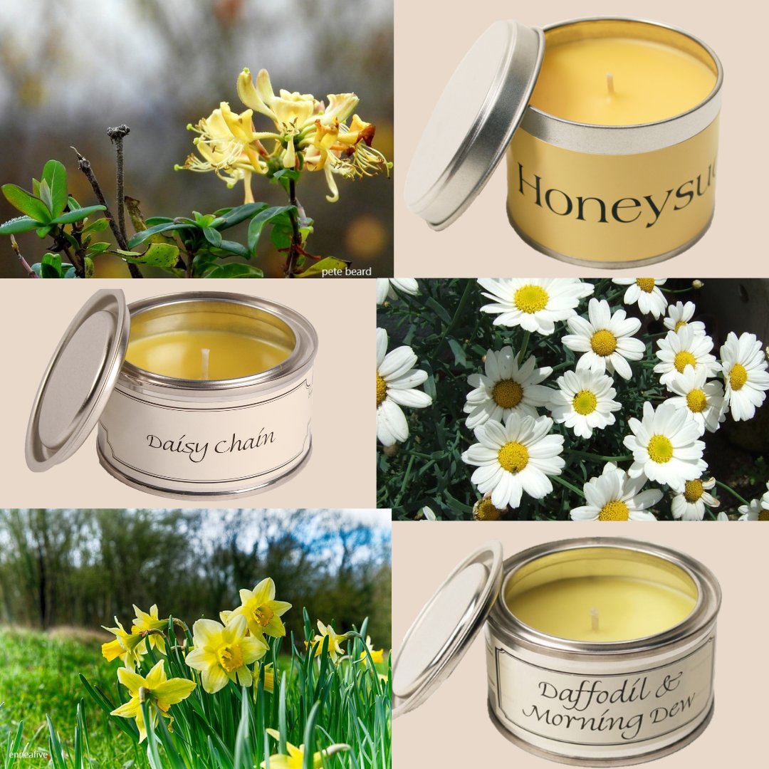 If you are out and about this weekend keep a look out for some UK wild flowers. Some common wildflowers that can be found are the Daisy, Lilly of the Valley, Honeysuckle, Daffodil and Buttercups. 
bit.ly/3epKURm
#PintailCandles #Candles #wildflowers #TinCandles
