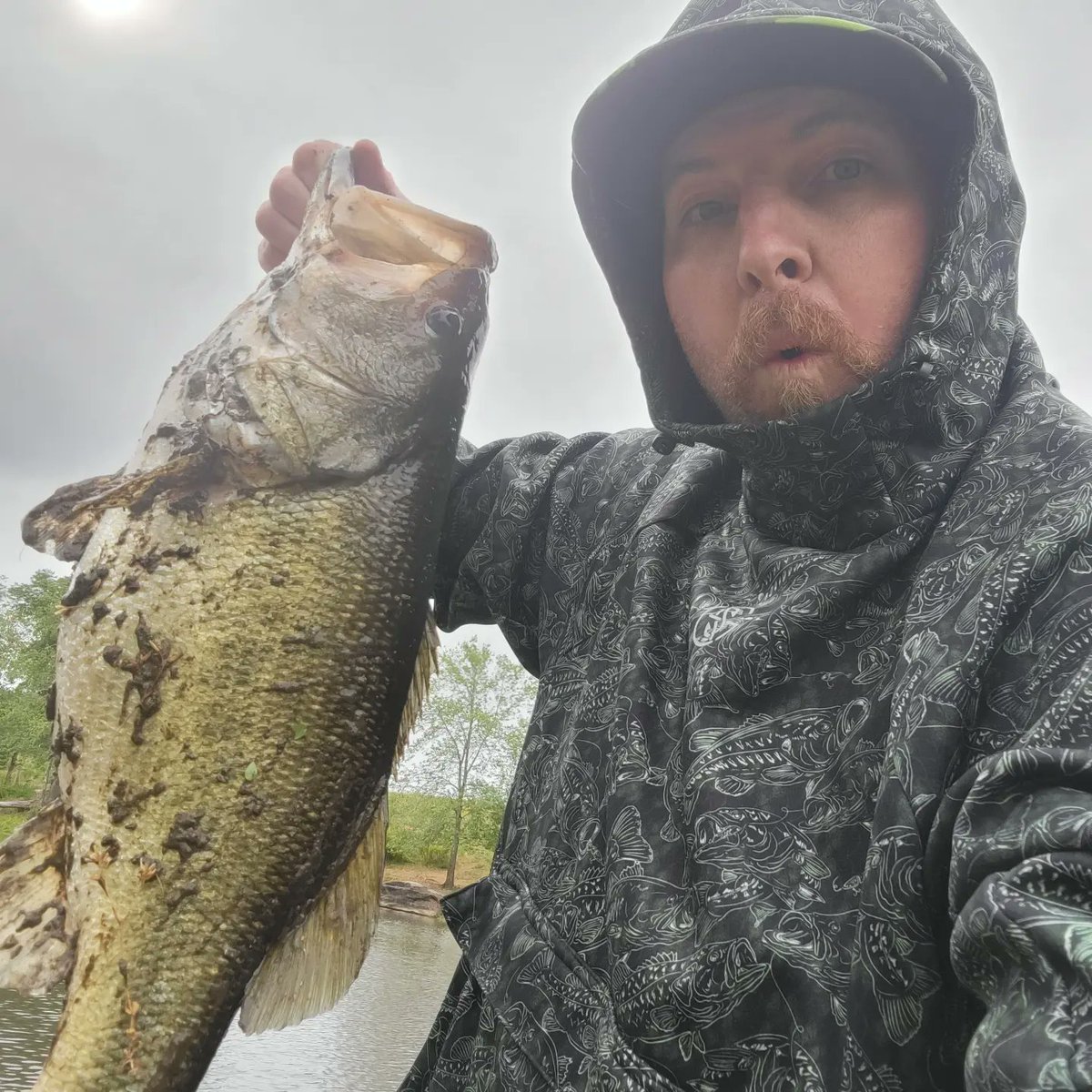 Dirty Diana bit me this morning 
Coming in at 23 inches and 7 pounds on the Bama bug bandito bug
#largemouthbass #bass #bassfishing #jigfishing #strikeking  #bitsybug  #6sensestrokercraw #lewsfishing #ktbtv #kickintheirbasstv #googansquad #ripinlips #tugisthedrug #banditobug