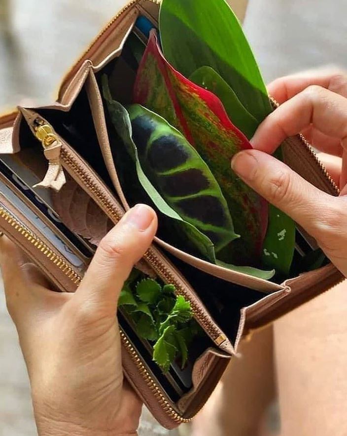 How my wallet feels when I have some extra cash 🌿