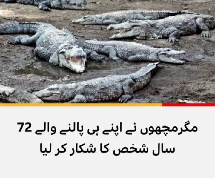 غیر سیاسی 
👇👇
#پاکستان_پوچھتا_ہے