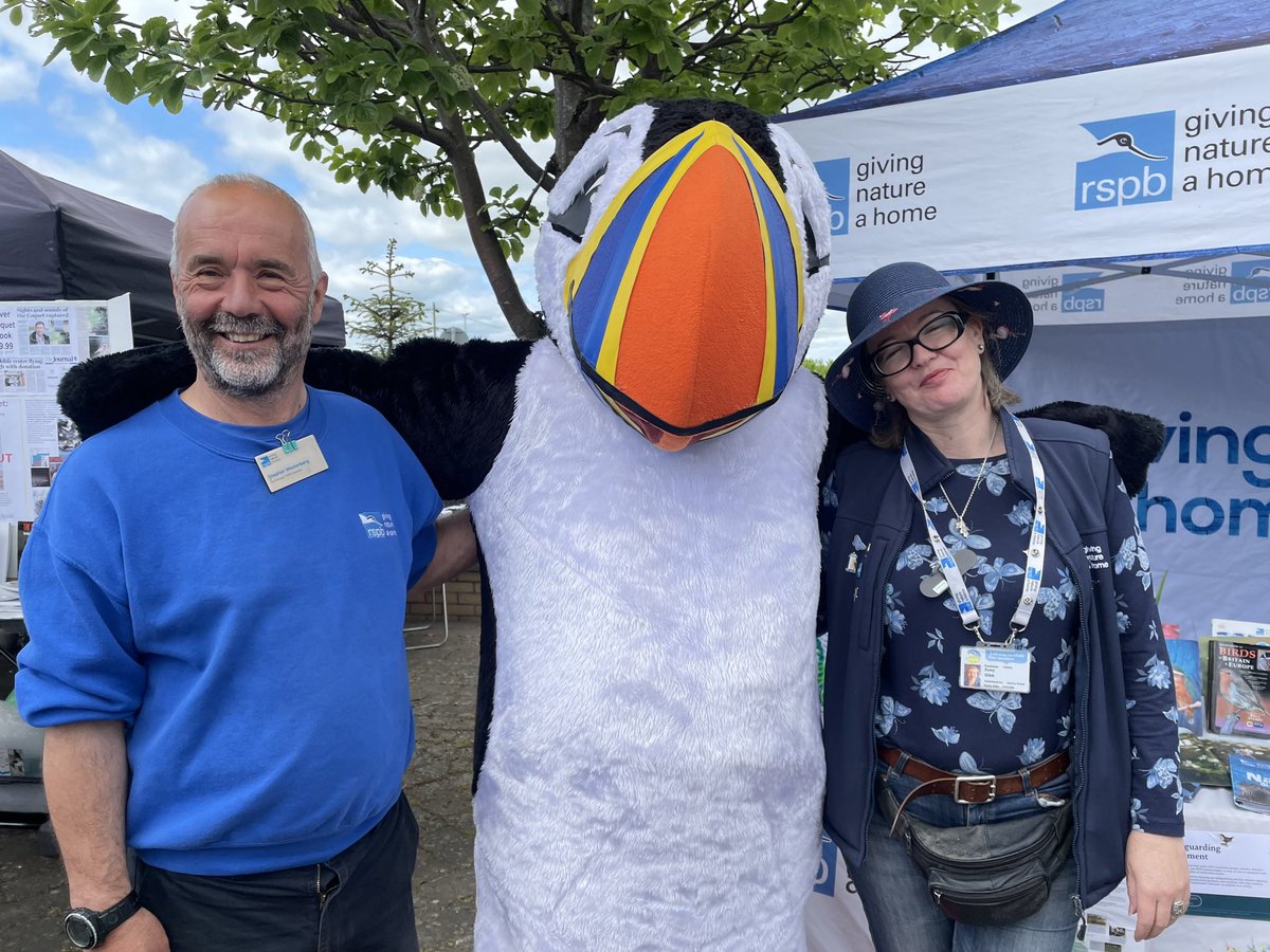 Ask #RSPB Stephen all about Puffins! tomorrow (Sunday) 11.30am-12 midday and 2-2.30pm at the info tent. includes live footage of the puffins on Coquet island  #amblepuffinfestival