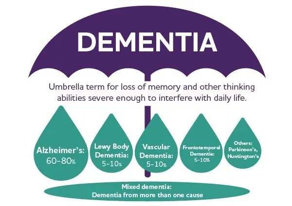 DeborahDian's tweet photo. What do you know about the different types of dementia ... vascular dementia, Alzheimer's, etc.? Did you know your actions today could make dementia more likely as you age? Learn more.
https://t.co/jzd3dw3FHL
#cognitiveprocess #dementia #Alzheimers #aging #brain https://t.co/qTF2hFRxRC