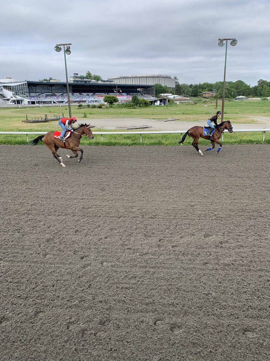 IMPORTANT!
Nomination Reminder

nominations close at midnight tonight (Saturday) for both the

Emerald Downs Stakes 3+ FM &amp;
George Royal Stakes 3+
