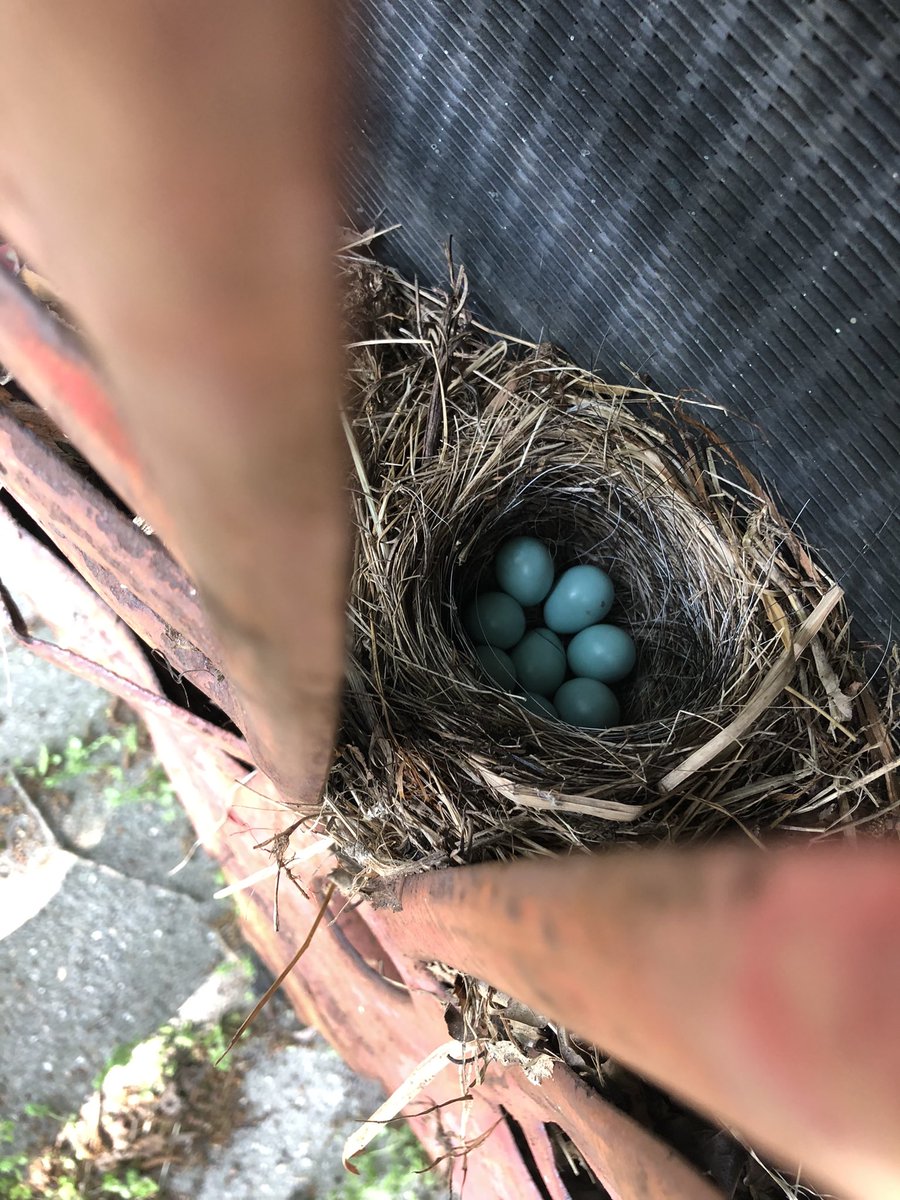 Floortender tweet media