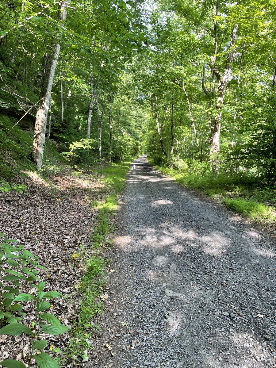 Walking the Elk River Trail at Jack’s Bend, with Banjo the dog!