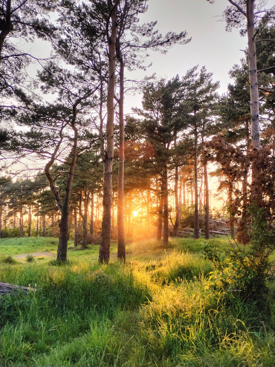 Far from the madding crowd - John Muir Country Park #JohnMuir