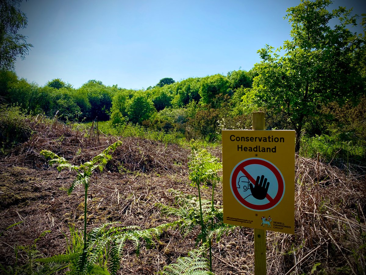 🐝 We’ve dedicated over a quarter of the #CommunityGarden site to create #Pollinator habitat and #MakeSpaceForNature 🦋 

Click below to read more…

wharfside.org/post/excuse-ou…

#Lichfield #Walsall #Brownhills #Burntwood #Hammerwich #Chasewater #Allotment