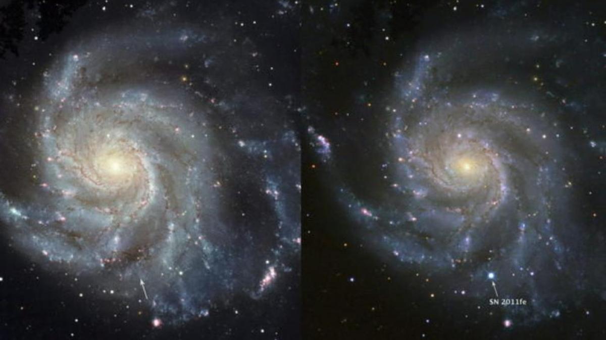 Hace unos días se produjo una supernova en la galaxia M101—también conocida como el Molinete—. Mirad las imágenes. Abajo a la derecha, en cada una de ellas, vemos el antes y el después. Es un evento bestial e importantísimo en el desarrollo del universo ⬇️

📸La Vanguardia.