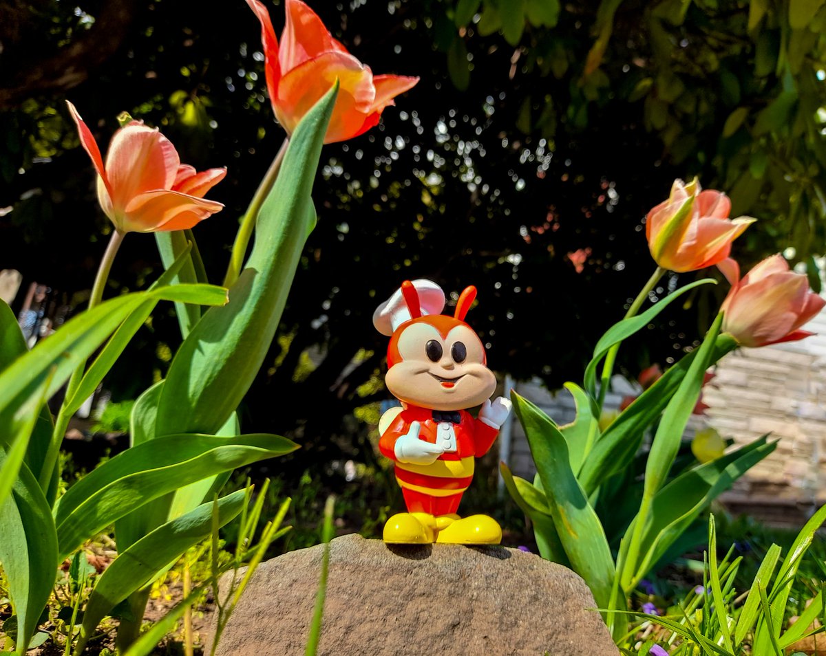 @brianmariotti Happy SODA Saturday! 🥤❤️

#FunkoSODASaturday #Funko #FunkoSODA #Jollibee #Funkophotoadaychallenge #FunkoPop @brianmariotti @OriginalFunko