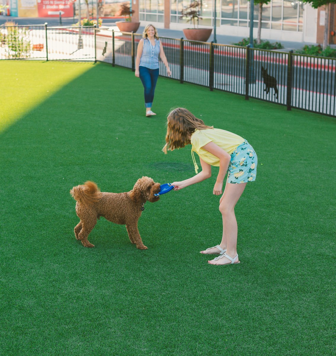 Your dog is basically a VIP guest here. Let your furry friend bask in the luxury of our dog-friendly hotel while you revel in a lavish stay. We even have a conveniently located dog park right across the street!

#DogLovers #DogFriendlyHotel #DogParadise #STAYwhitneypeak