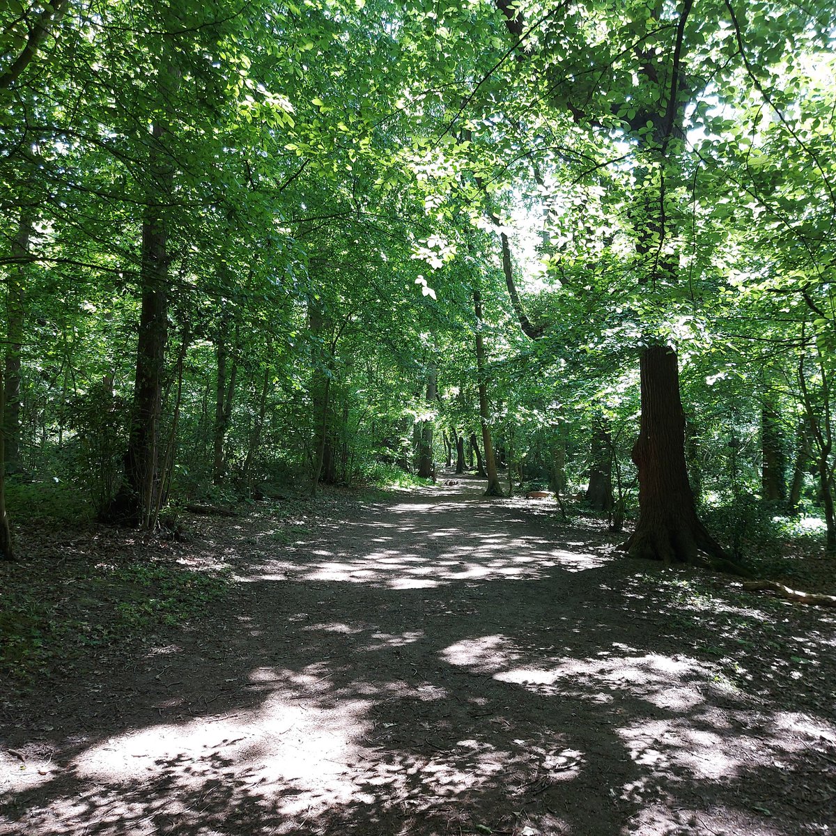 Alex🌈 tweet media