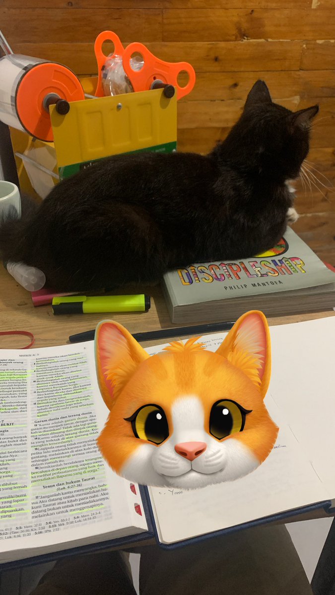 Cinten, kucing Kristen, edisi kesekian