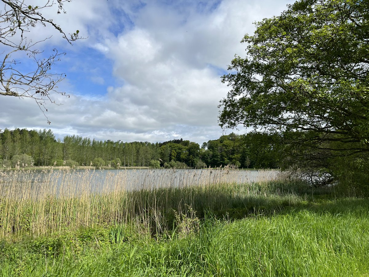 Miss Houston tweet media