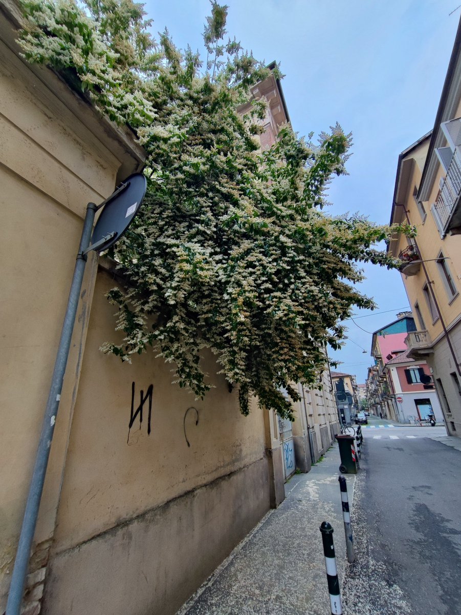 いい匂い https://t.co/HA241zMSH5