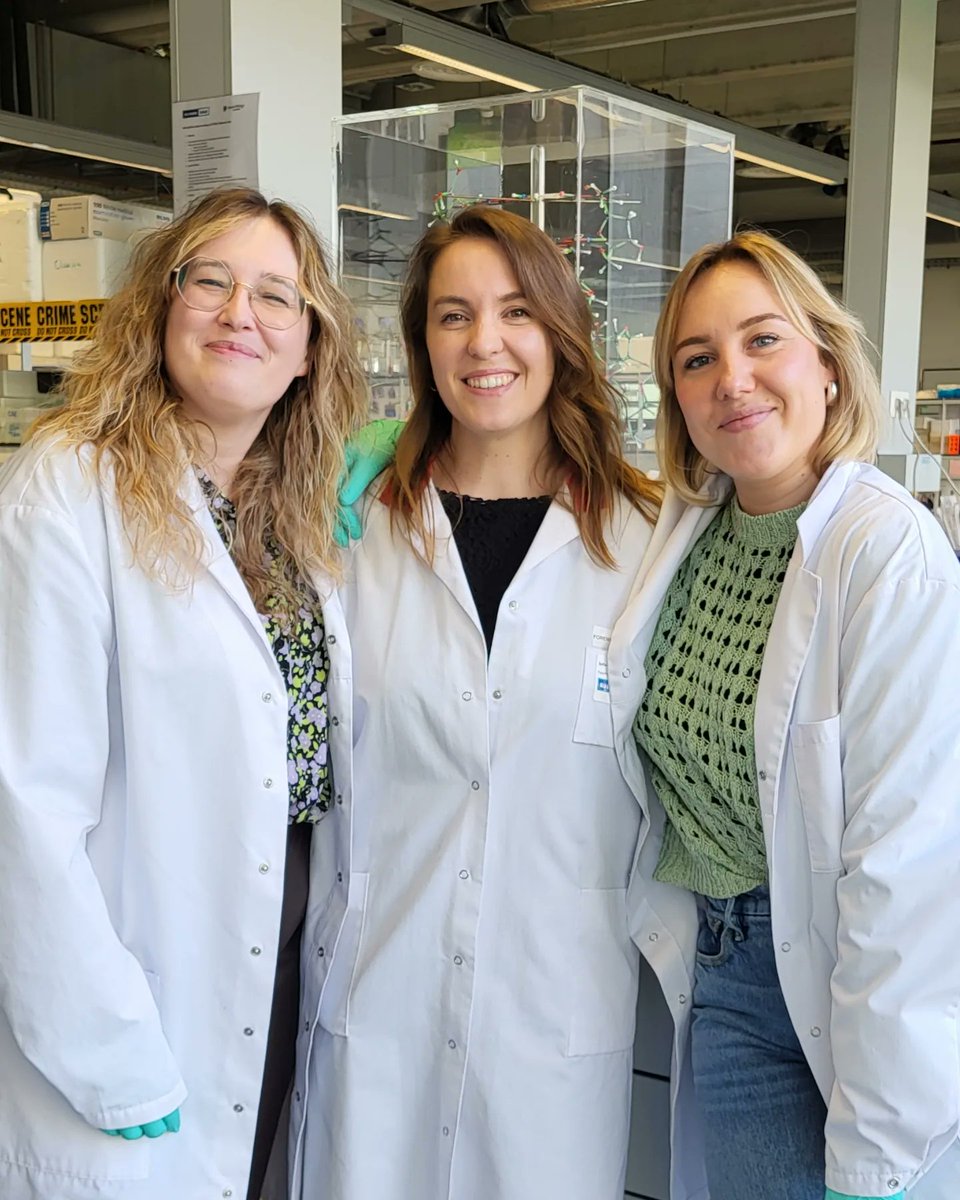 ‼️NIET TE MISSEN ‼️

Zondag is #CSY te gast bij <a href="/devolksjury/">de volksjury</a> op het grootste Belgische wetenschapsfestival <a href="/nerdlandbe/">Nerdland</a> in een tent met 3000+ nerds! 🎪

<a href="/KU_Leuven/">KU Leuven</a> <a href="/FWOVlaanderen/">FWO</a> <a href="/KULeuvenKulak/">KU Leuven Kulak</a>

En omdat ik fysiek nog steeds aan de andere kant van de wereld zit... 👇🏼